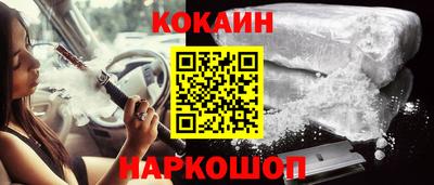 крисы Кунгур