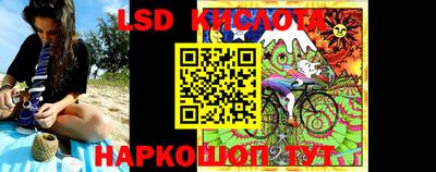 крисы Кунгур
