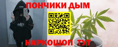 крисы Кунгур