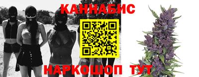 крисы Кунгур