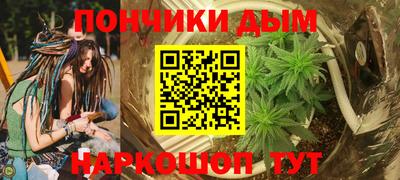 крисы Кунгур