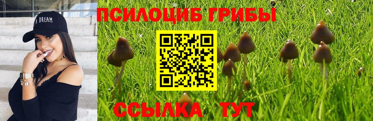 Галлюциногенные грибы мухоморы  Вход с VPN  Йошкар-Ола  Галлюциногенные грибы Psilocybine cubensis 